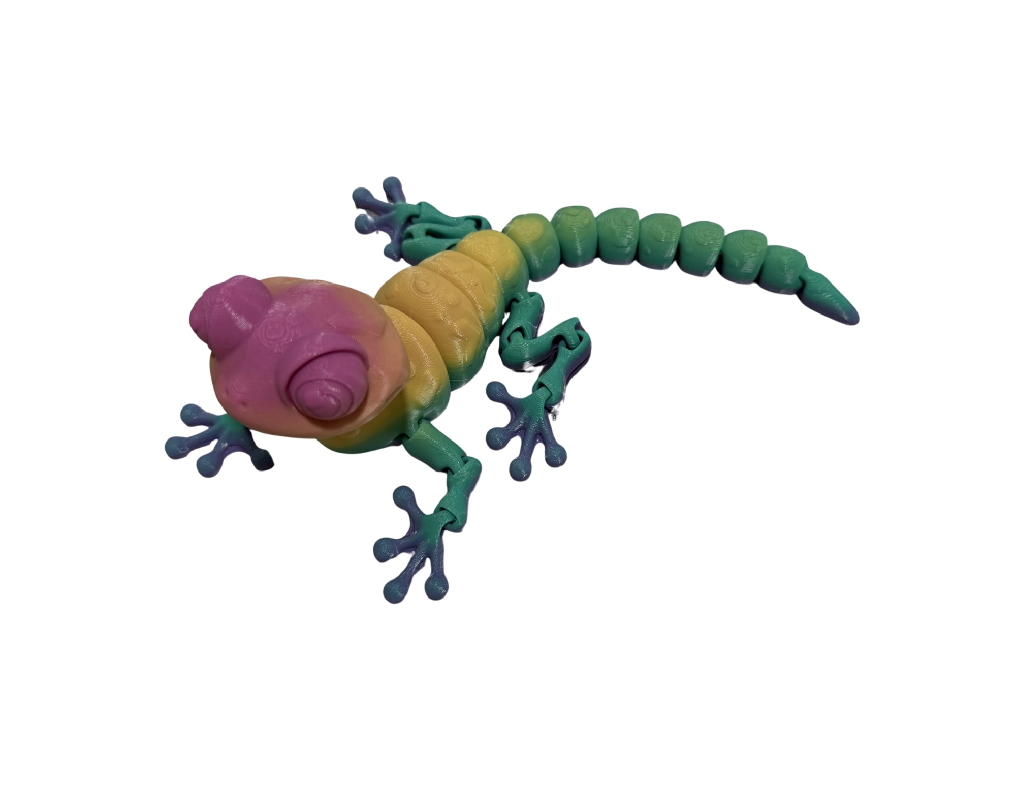 8" Gecko