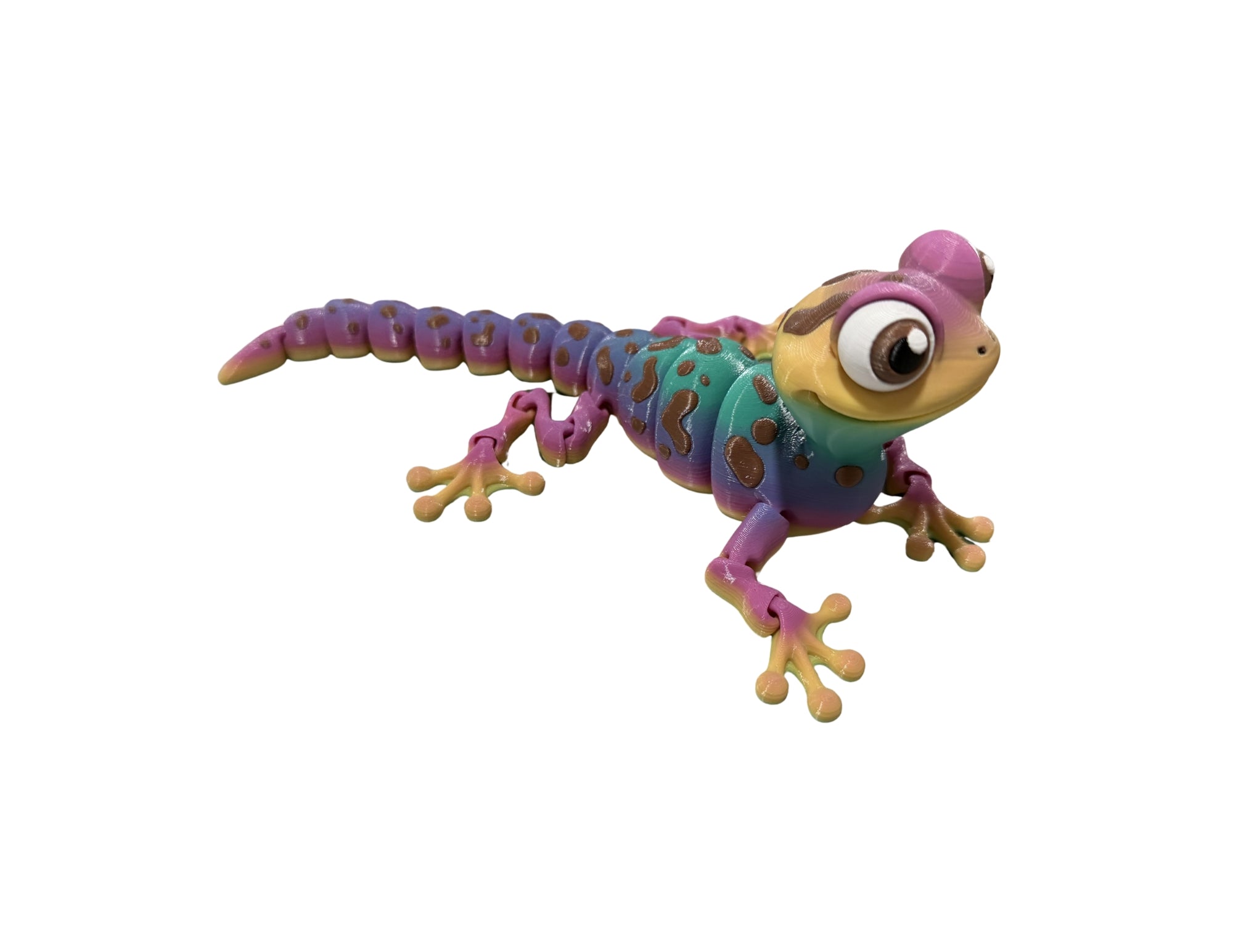 8" Gecko